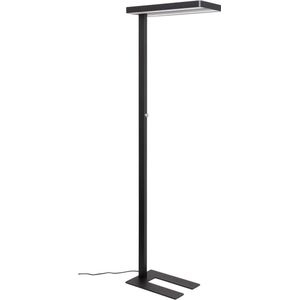 MAULjuvis LED Vloerlamp - dimmbaar - standvoet - zwart - 1 stuk - 61 x 28 x 196 cm - MAUL