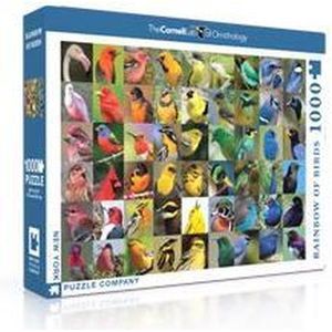 New York Puzzle Company - Cornell Lab Rainbow of Birds - 1000 stukjes puzzel