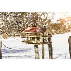 Windhager® Vogelvoederhuisje op Paal Landhuis XXL - Vogelhuis, vogelvoederhuisjes voor tuinvogels - Vogelvoedersilo XXL