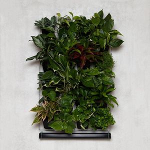 Mijn Verticale Tuin - Voor Binnen - Compleet Startpakket (Large) 90cm x 60cm - 24 Bakjes - Plantenbak aan de muur - Groene wand - Groene muur - Verticale Moestuin - Balkonbak - Plantenmuur - Muurtuin