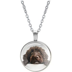 Ketting Glas | Labradoodle