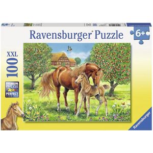 Puzzel voor grote en kleine kinderen (100 stukjes, paarden thema)