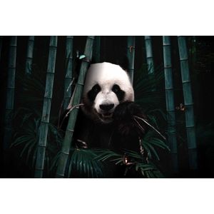 Jungle Panda op Textiel in Frame - WallCatcher | 150 x 100 cm | Breed zwart Textielframe 27 mm | Jungle Reuzenpanda op peesdoek