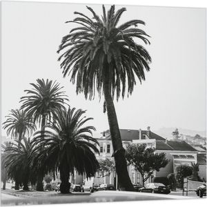 WallClassics - Vlag - Palmbomen in Amerikaanse Buurt (Zwart- wit) - 100x100 cm Foto op Polyester Vlag