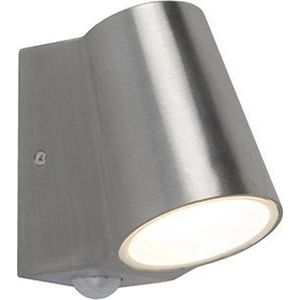 QAZQA Uma - Moderne LED Buitenlamp met Bewegingsmelder | Bewegingssensor | sensor voor buiten - 1 lichts - D 120 mm - Staal - Buitenverlichting