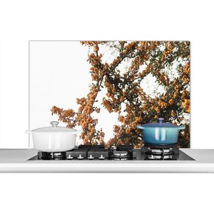 Spatscherm - Boom - Takken - Geel - Natuur - Spatwand- 100x65 cm - Muurbeschermer