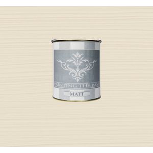 Painting The Past - Matt Finish - Plaster - 750 ml
