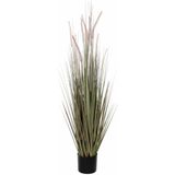 Mica Decorations - gras pluim kunstplant - groen/paars - H150 x D60 cm