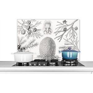 Spatscherm keuken 90x60 cm - Kookplaat achterwand Coniferen - Ernst Haeckel - Kunst - Retro - Illustratie - Natuur - Muurbeschermer - Spatwand fornuis - Hoogwaardig aluminium