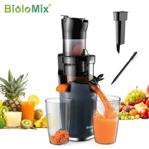 Slowjuicer - Sapcentrifuge Voor Fruit en Groente - 500ML - 200W - Koude Pers Juicer - Zwart