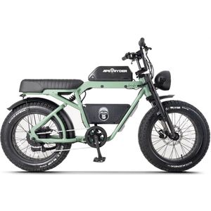Ape Ryder Bonobo Elektrische Fatbike 250W / 48V / 20AH / 20Inch Groen