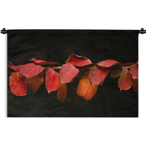 Wandkleed Planten op een zwarte achtergrond - De rode bladeren op een zwarte achtergrond Wandkleed katoen 60x40 cm - Wandtapijt met foto