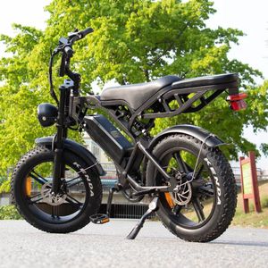 Ebikekopen.com Fatbike V20 3.0