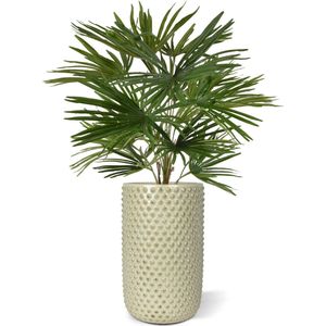 Baby Fan kunstpalm 45cm