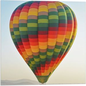WallClassics - Vlag - Meerkleurige Luchtballon Geland op Woestijn - 50x50 cm Foto op Polyester Vlag