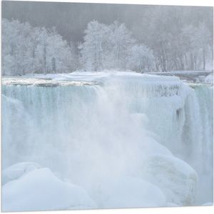 WallClassics - Vlag - Witte Winter Waterval - 80x80 cm Foto op Polyester Vlag