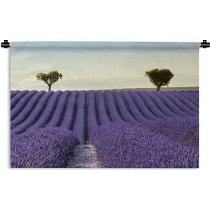 Wandkleed De lavendel - Rollende heuvels met bomen op lavendelveld Wandkleed katoen 90x60 cm - Wandtapijt met foto