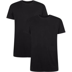 Comfortabel & Zijdezacht Bamboo Basics Ruben - Bamboe T-shirts (Multipack 2 stuks) Heren Ronde Hals - Korte Mouwen - Zwart - L