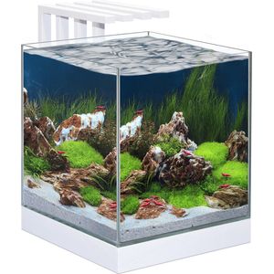 Ciano Nexus Pure 25 Aquarium - 29x29x29 - 22L - Wit