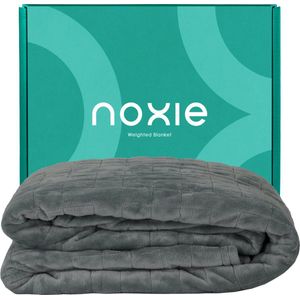 Noxie Premium Hoes voor Verzwaringsdeken - Weighted Blanket Minky Duvet Cover - 150x200cm - Grijs