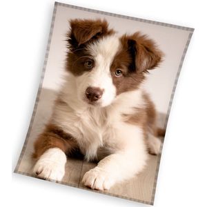 Border Collie Hond Plaid Fleece Deken 150x200cm 240GSM Polyester