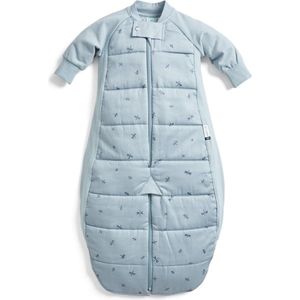 Ergopouch Sleepsuit Slaapzak- 2,5 Tog - 2-4 jaar - Slaapzak - Slaapzakken - Slaapzak winter - Dragonflies