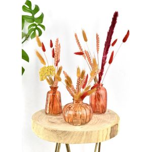 Droogbloemen met vaas - Set van 3 stuks! - Bloemen cadeau met vaas - Natuurlijk Bloemen