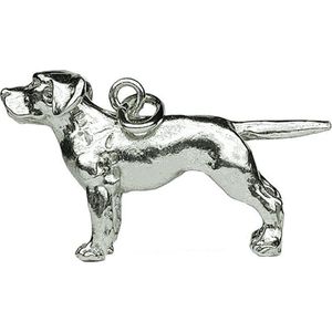 Zilveren Labrador retriever COOLDOG™ ketting Hanger groot - Hond XL - Sterling .925 Zilver