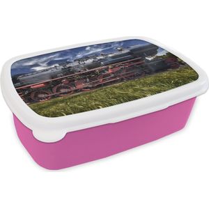 Broodtrommel Roze - Lunchbox - Brooddoos - Stoomlocomotief in een veld - 18x12x6 cm - Kinderen - Meisje