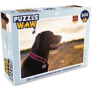 Puzzel Een Labrador Retriever met zonsondergang - Legpuzzel - Puzzel 500 stukjes