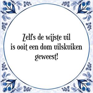 Tegeltje met Spreuk (Tegeltjeswijsheid): Zelfs de wijste uil is ooit een dom uilskuiken geweest! + Kado verpakking & Plakhanger