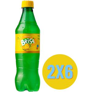 Brisa Ananás 2x 6 Pack 0,5L PET