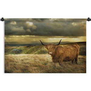 Wandkleed Schotse hooglander - Gele hemel boven deze Schotse hooglander Wandkleed katoen 180x120 cm - Wandtapijt met foto XXL / Groot formaat!