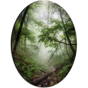 WallClassics - Dibond Ovaal - Mist tussen Groene Bomen - 21x28 cm Foto op Ovaal (Met Ophangsysteem)
