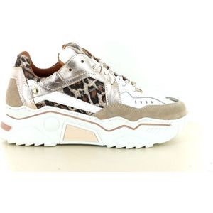 DWRS Pluto Leopard
