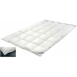 XDream by Brinkhaus Dekbed Basic Vierjaargetijden 140 x 200 cm