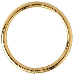Lucardi Dames helixpiercing goldplated ring - Piercing - Cadeau - Staal - Goudkleurig