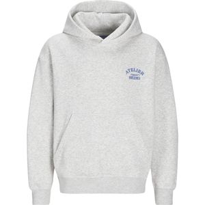 JACK&JONES JUNIOR JORBROOKLYN BACK SWEAT HOOD JNR Jongens Trui - Maat 176