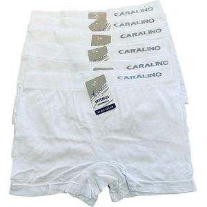 Dames Hoge Boxershort - Naadloos - Microfiber 6 pack L/XL 40-46 wit