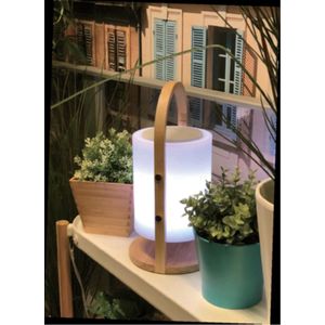Tafellamp LED met Speaker + Bluetooth Oplaadbaar + Afstandsbediening - Garleds Weedle
