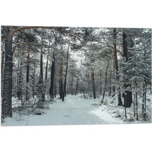WallClassics - Vlag - Winter Bos - 75x50 cm Foto op Polyester Vlag