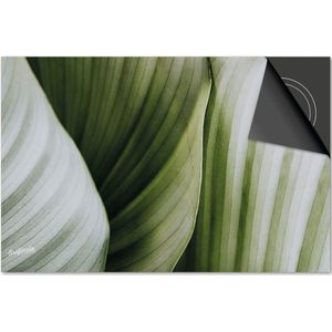 Inductie beschermer 81x52 - afdekplaat inductie mat - Dietrix Kookplaat beschermer - Exclusief - Leaves - 10 Bladeren wit groen