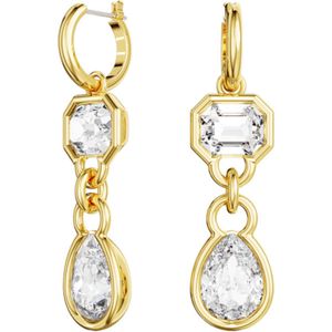 Swarovski Dextera Oorbellen Swarovski Kristal