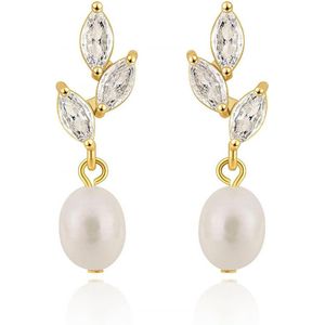 Pearl Earrings Set for Women - Silver Studs
