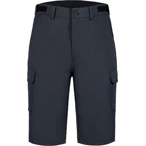 ICEPEAK - braswell shorts/bermuda - Antraciet