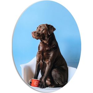 WallClassics - PVC Schuimplaat Ovaal - Grote Hond Zittend op Stoel met Kop Koffie - 42x56 cm Foto op Ovaal (Met Ophangsysteem)