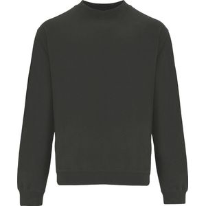 Grijze heren sweater Telena merk Roly maat 3XL