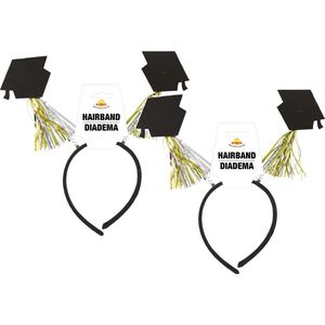 Geslaagd/diploma gehaald verkleed diadeem/haarband - 2x - afstudeer thema feest accessoires