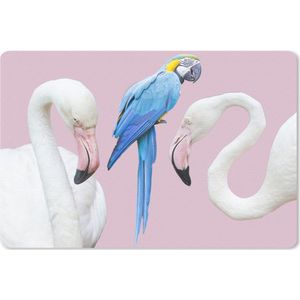 Bureau mat - Dieren - Flamingo - Papegaai - 60x40