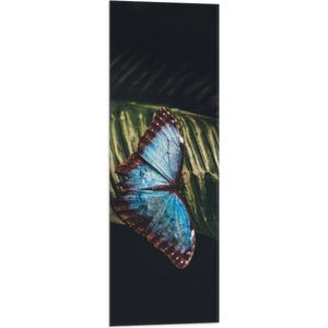 WallClassics - Vlag - Blauw met Zwarte Vlinder op Groen Blaadje - 30x90 cm Foto op Polyester Vlag